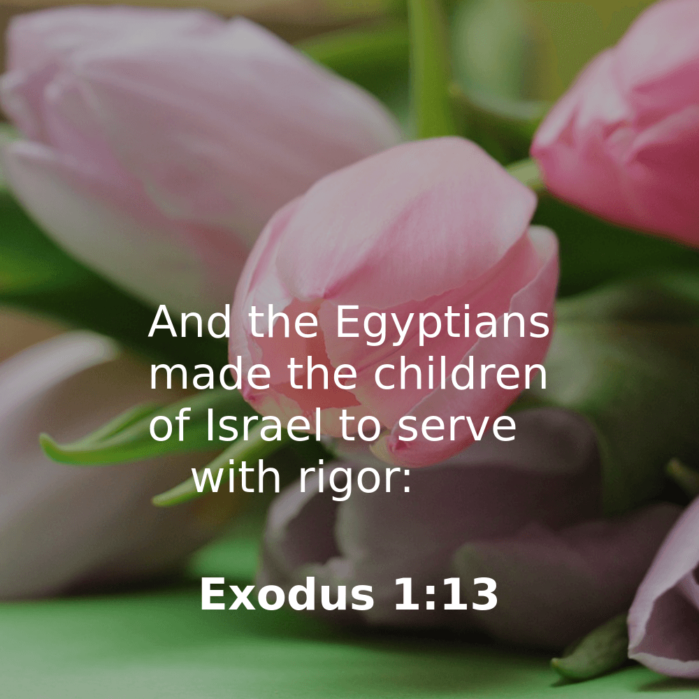 Exodus 1:13 - Bibleverses.net