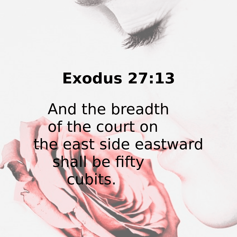 Exodus 27:13 - Bibleverses.net