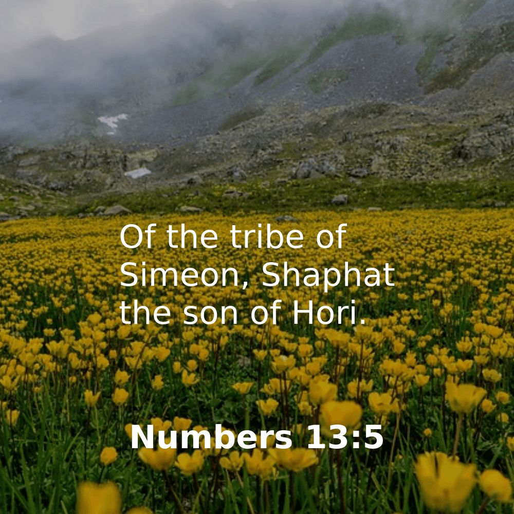 Numbers 13:5 - Bibleverses.net