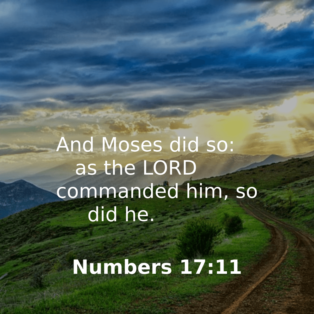 Numbers 17:11 - Bibleverses.net