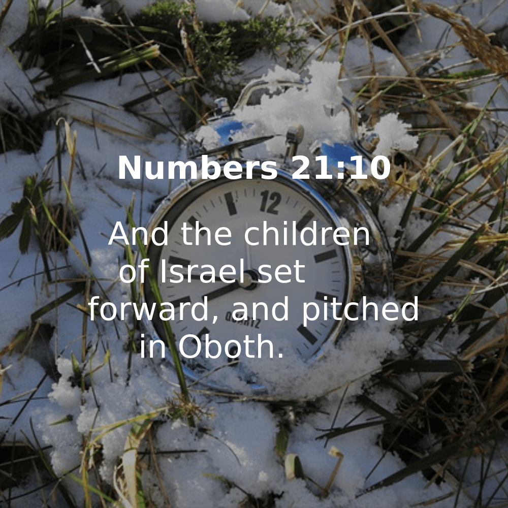 Numbers 21:10 - Bibleverses.net