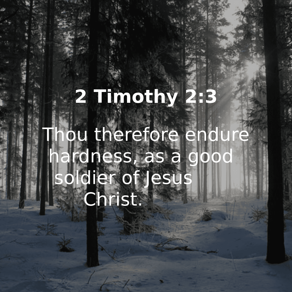 2 Timothy 2:3 - Bibleverses.net