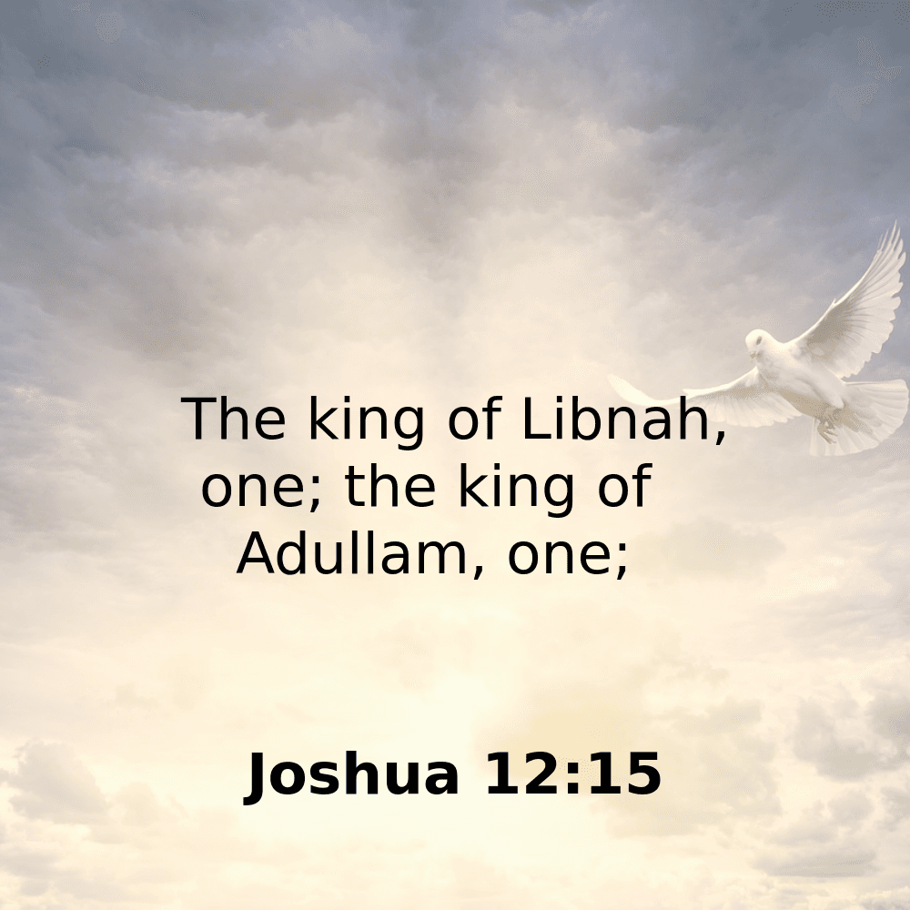Joshua 12:15 - Bibleverses.net