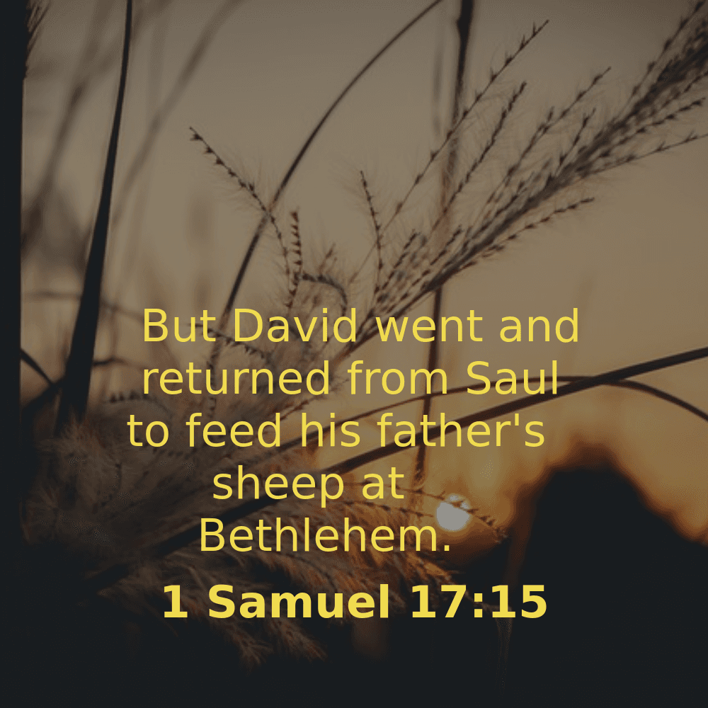 1 Samuel 17:15 - Bibleverses.net