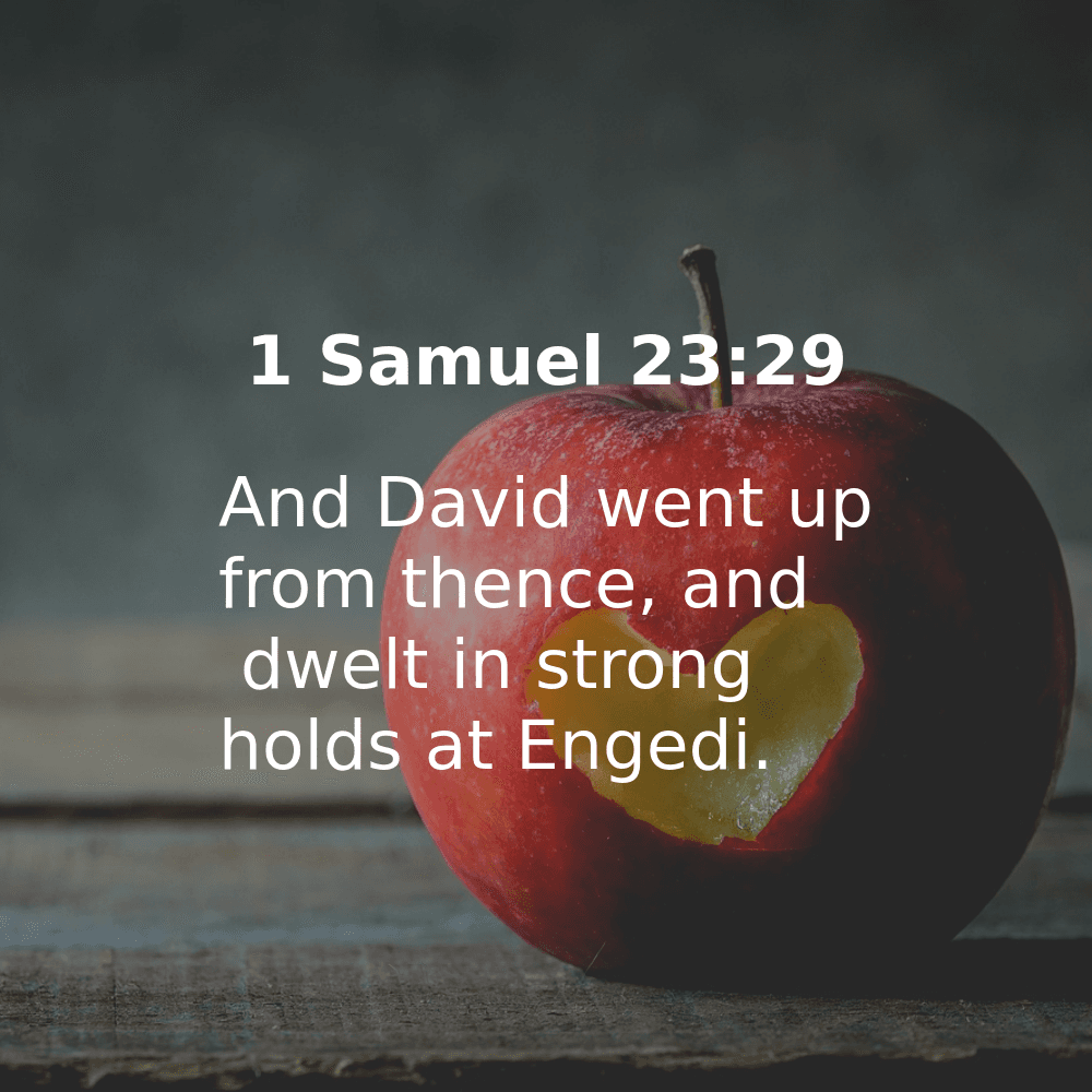 1 Samuel 23:29 - Bibleverses.net