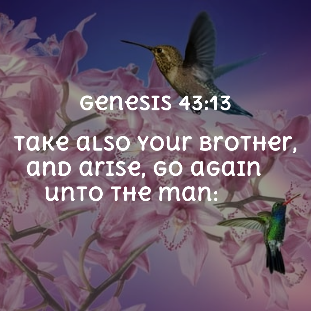Genesis 43:13 - Bibleverses.net