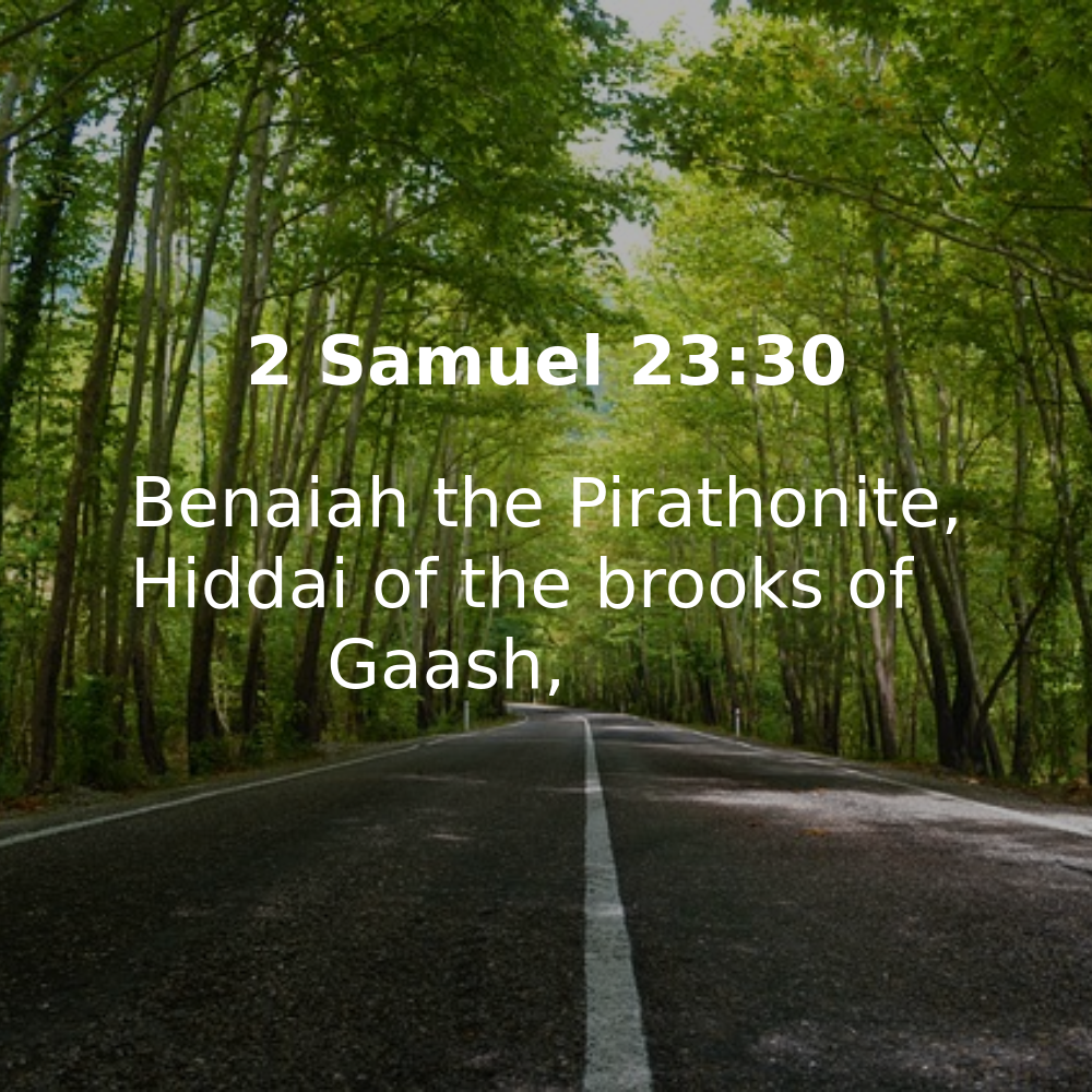 2 Samuel 23:30 - Bibleverses.net