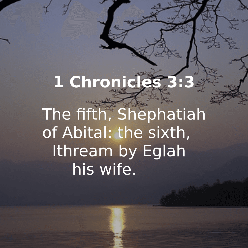 1 Chronicles 3:3 - Bibleverses.net