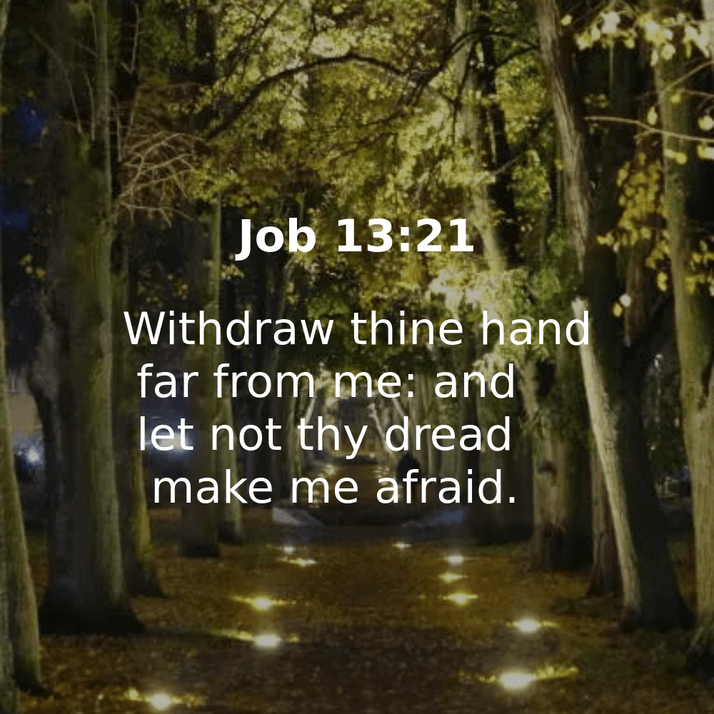 Job 13:21 - Bibleverses.net