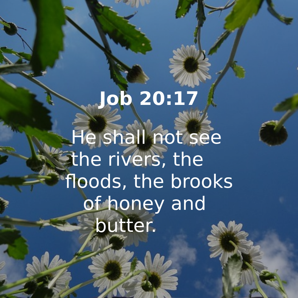 Job 20:17 - Bibleverses.net