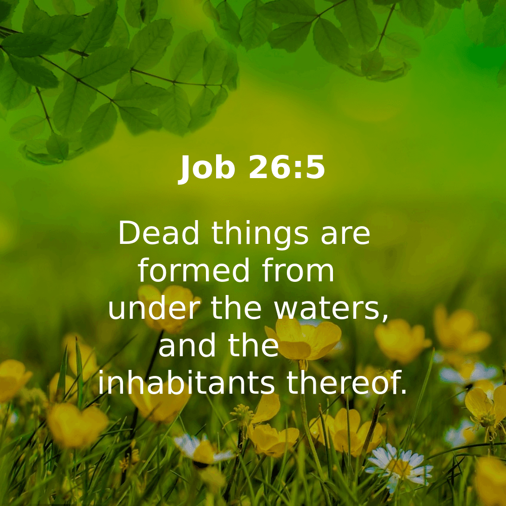 Job 26:5 - Bibleverses.net