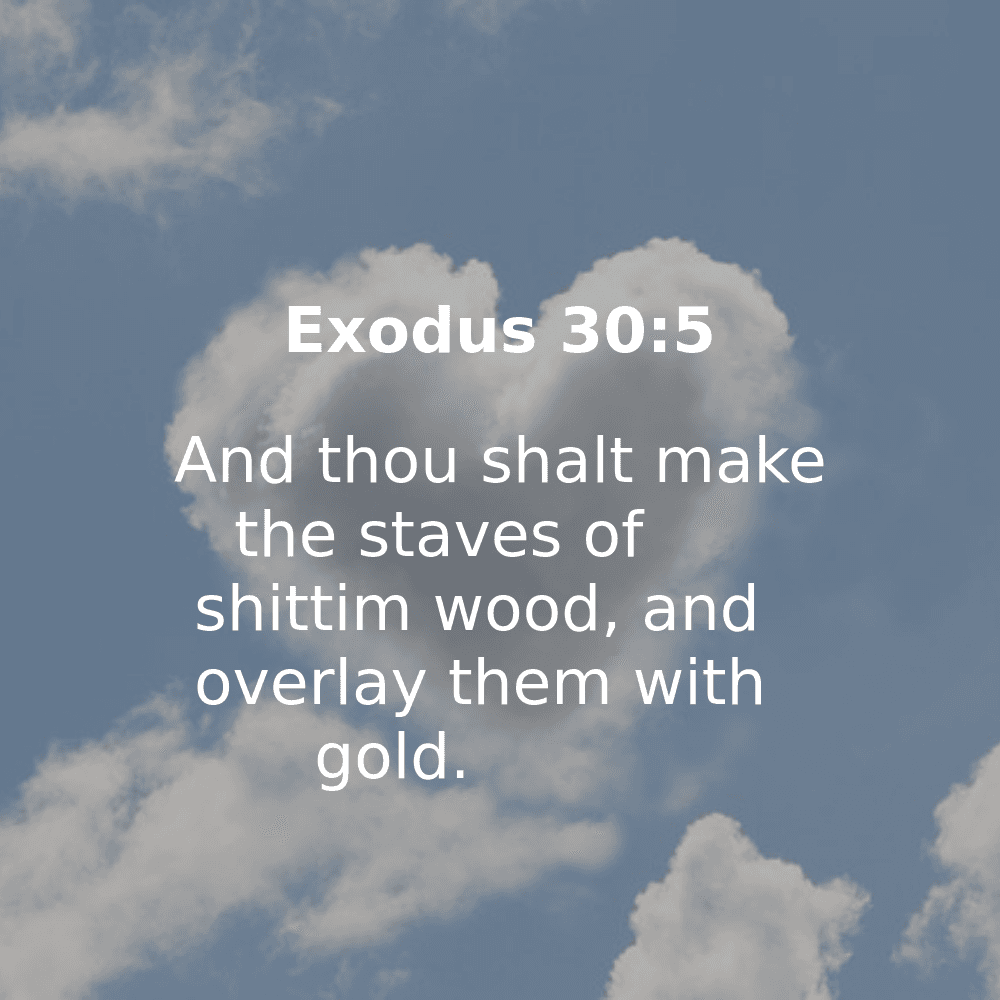 Exodus 30:5 - Bibleverses.net