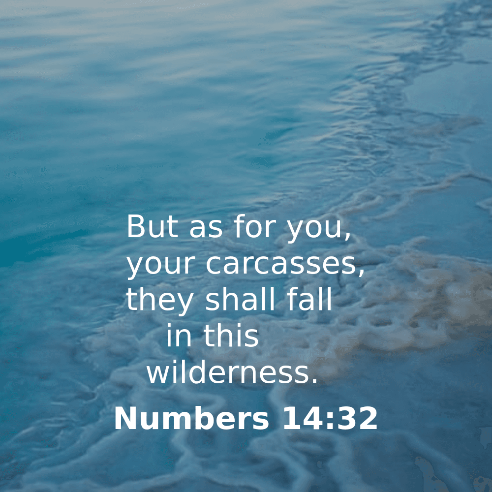 Numbers 14:32 - Bibleverses.net