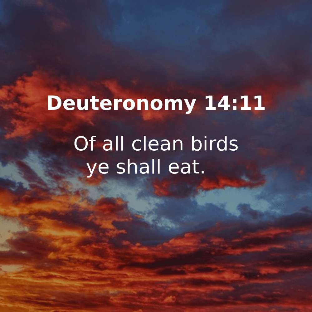 Deuteronomy 14:11 - Bibleverses.net