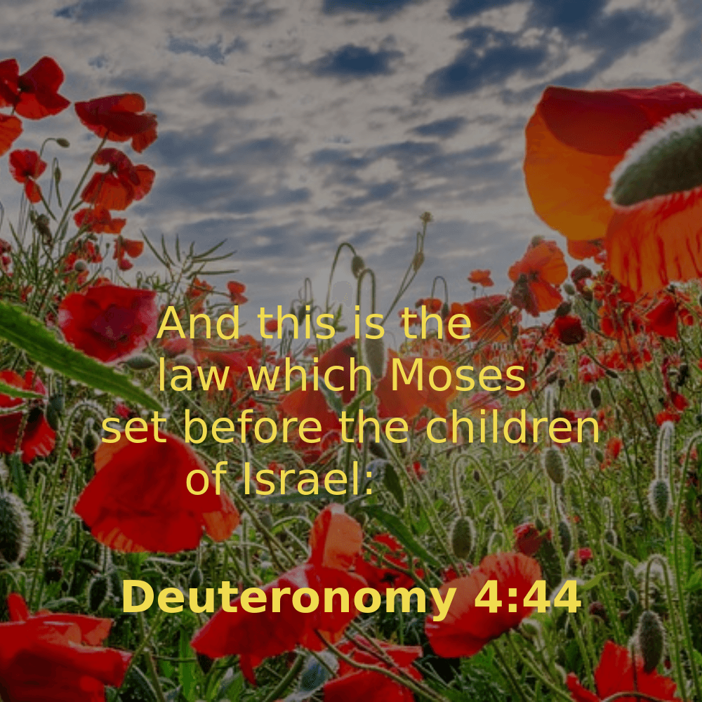 Deuteronomy 4:44 - Bibleverses.net